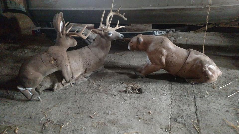 deer and puma
