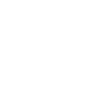 icon connect white