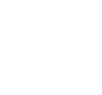 icon ear protectors