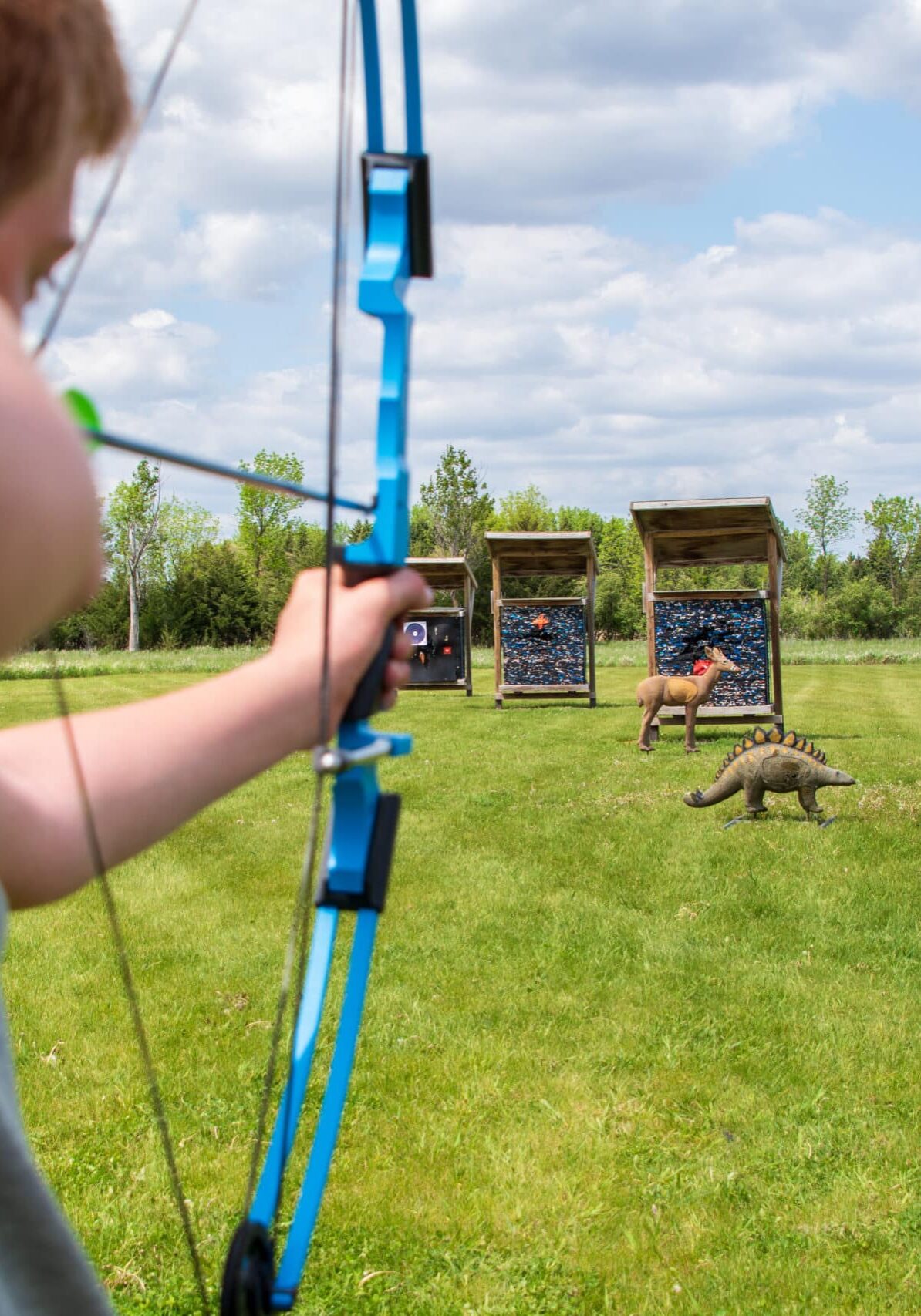 archery 3d target archery 3d target