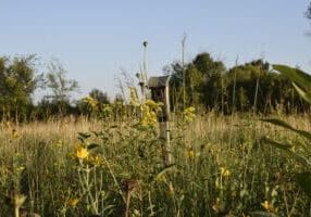 May 2025 Board Minutes