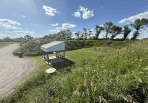 Dreaming of Days Like These